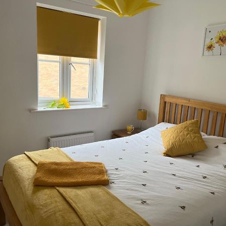 Luna'S Rest Bridgwater Bagian luar foto
